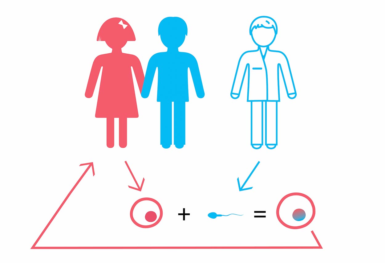 Patient's oocytes + donor's sperm + PGD (24 chromosomes) up to 8 embryos